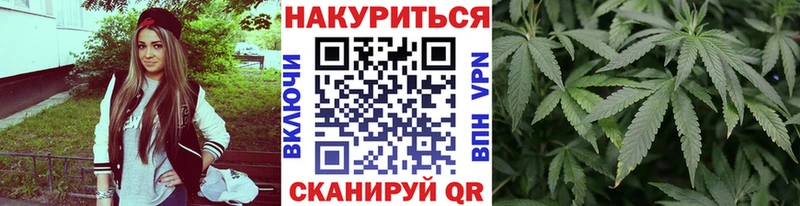 Конопля ГИДРОПОН  Белоярский 